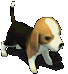 104950.gif